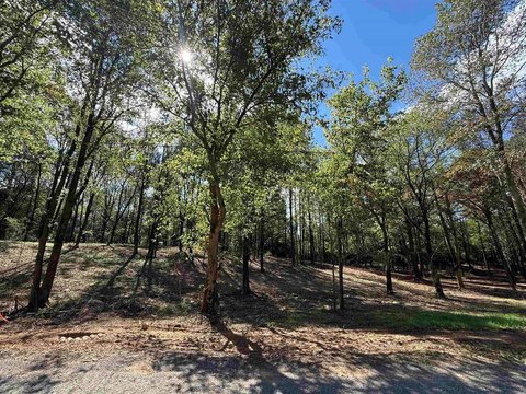LAND - Vinemont, AL