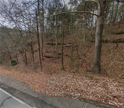 Wooded Lot in Fairfield Bay