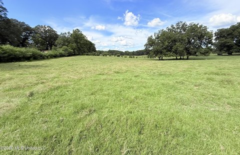 Land, Bogue Chitto, MS
