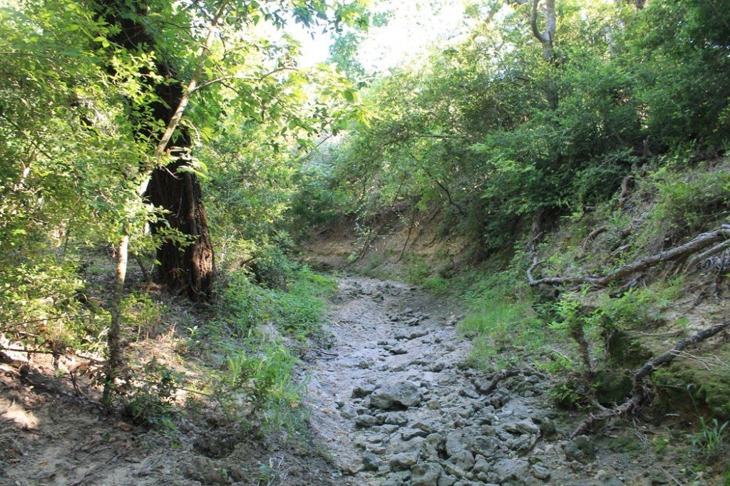 Picture 10