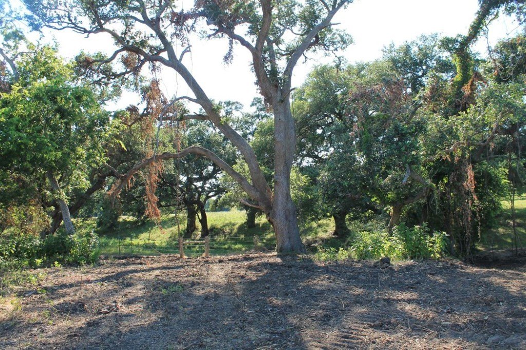Picture 8