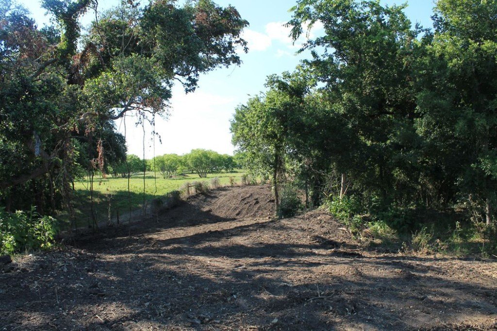 Picture 12