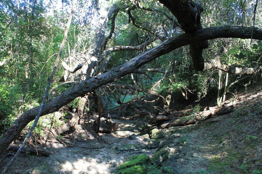 Picture 9