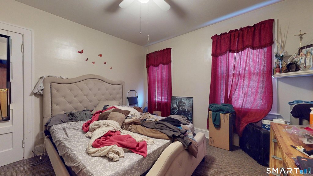 Picture 13