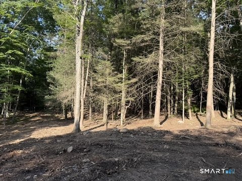 Roxbury Approved Building Lot