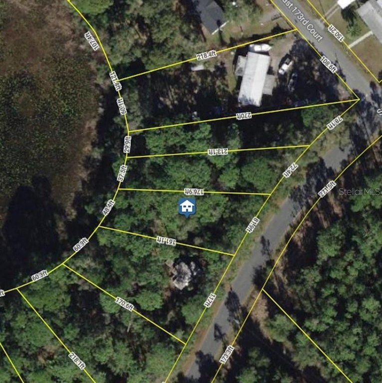 Picture 4