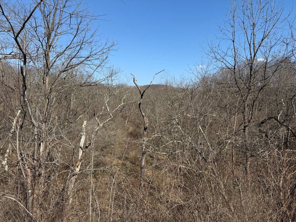 Picture 37