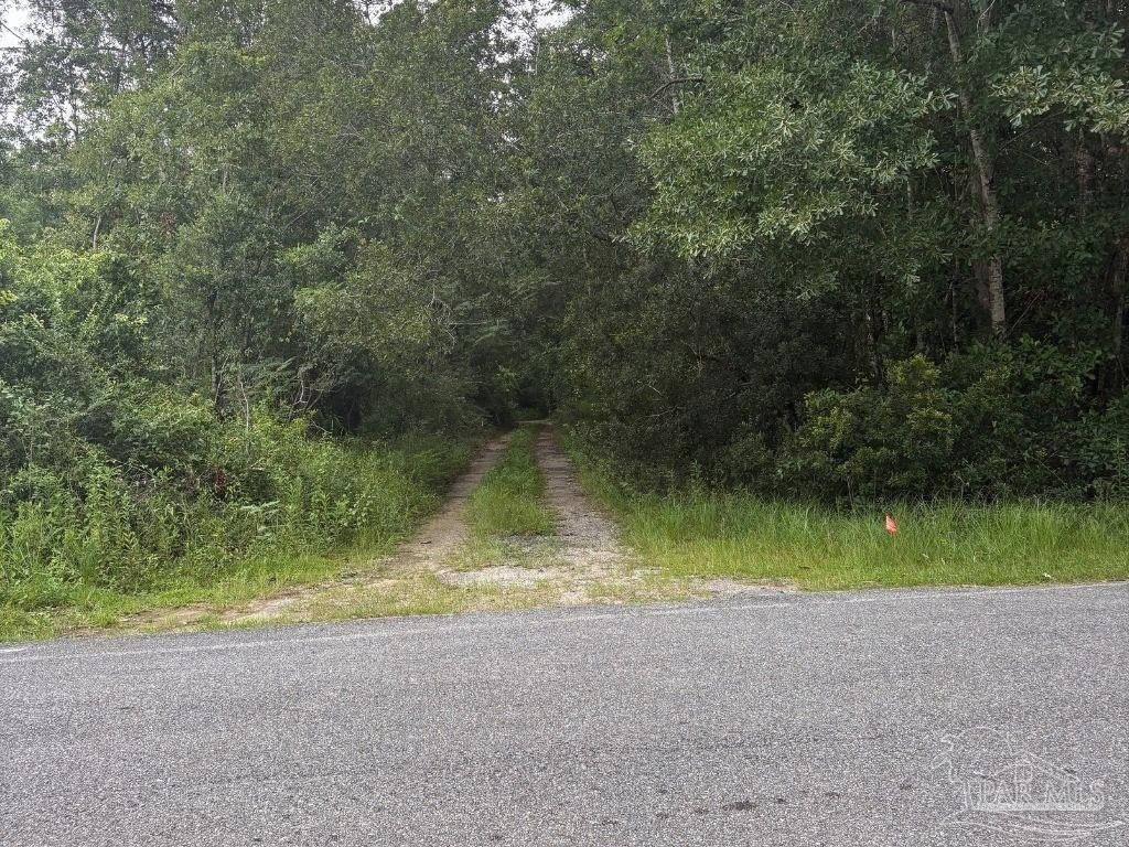 Picture 20