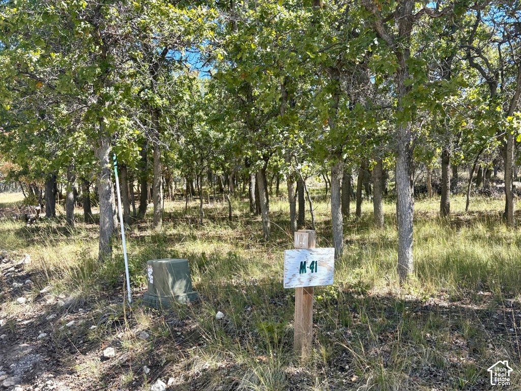 Picture 3