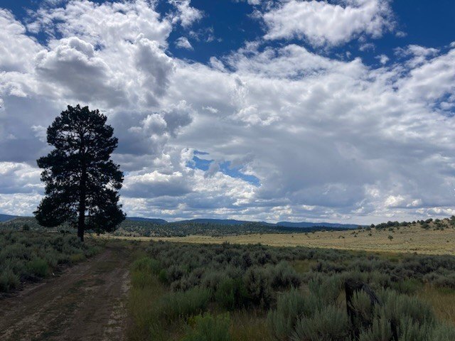 Lumberton Land with Stunning Views