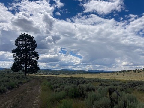 Lumberton Land with Stunning Views