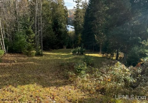 Waterfront Land on Menominee River