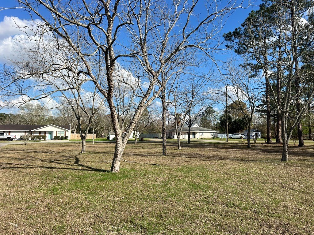Picture 56