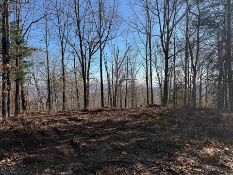 Ozark Land Near Mulberry River