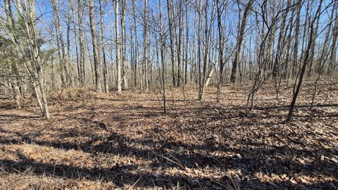 South Pittsburg Land with Views