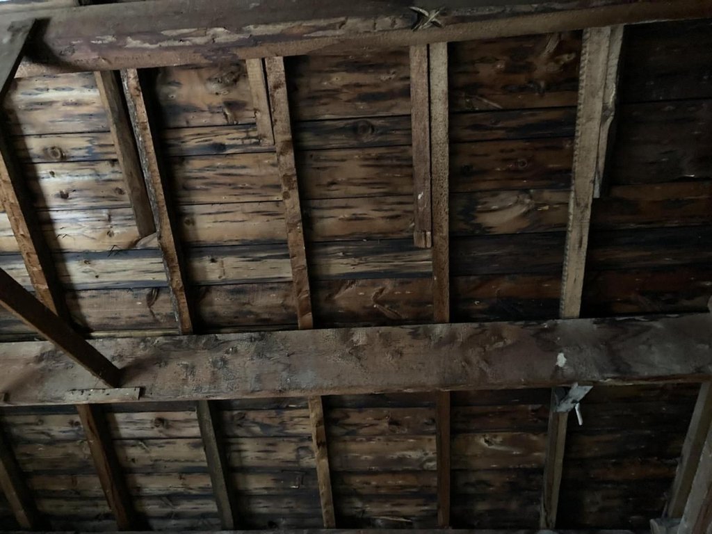 Picture 34