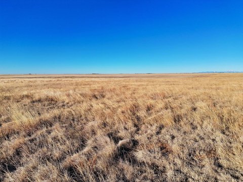 Rural Land with Multi-Side Road Frontage