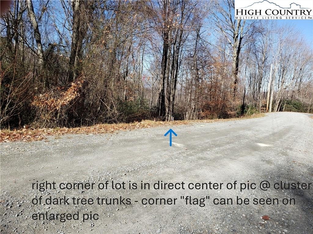 Picture 23