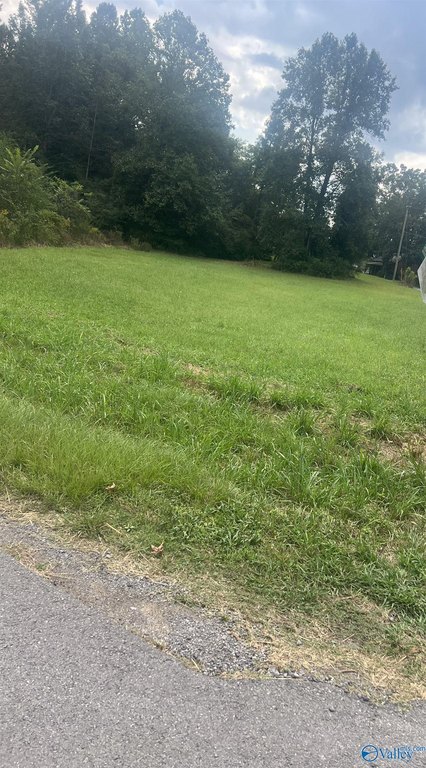 Picture 4