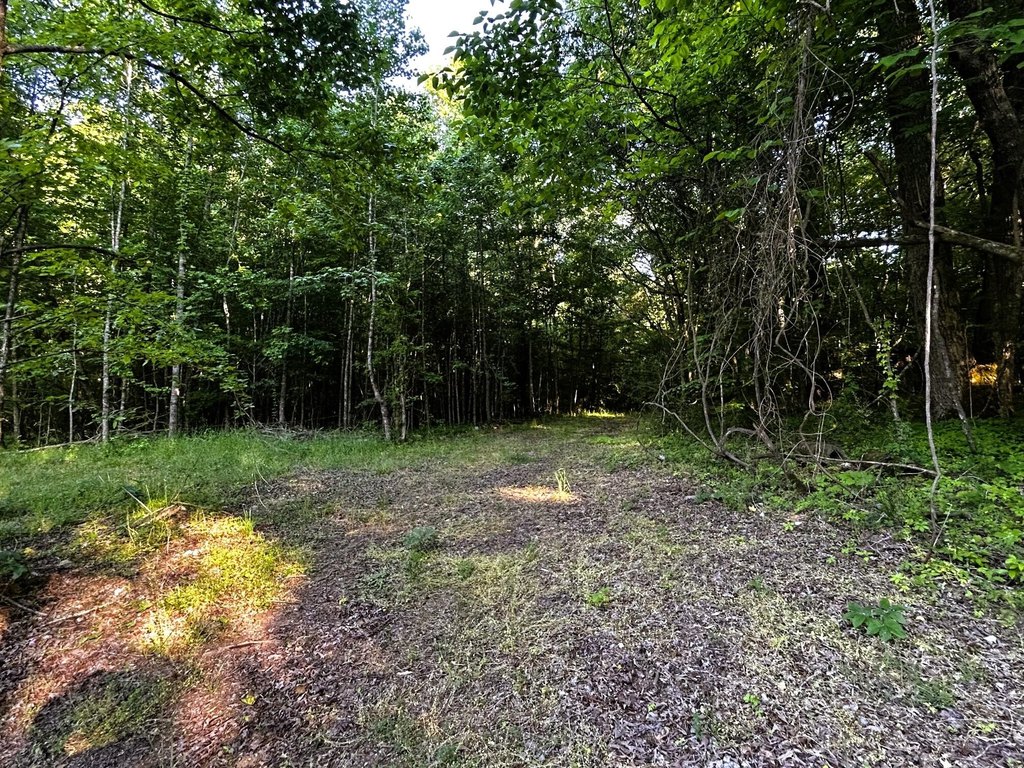 Picture 16