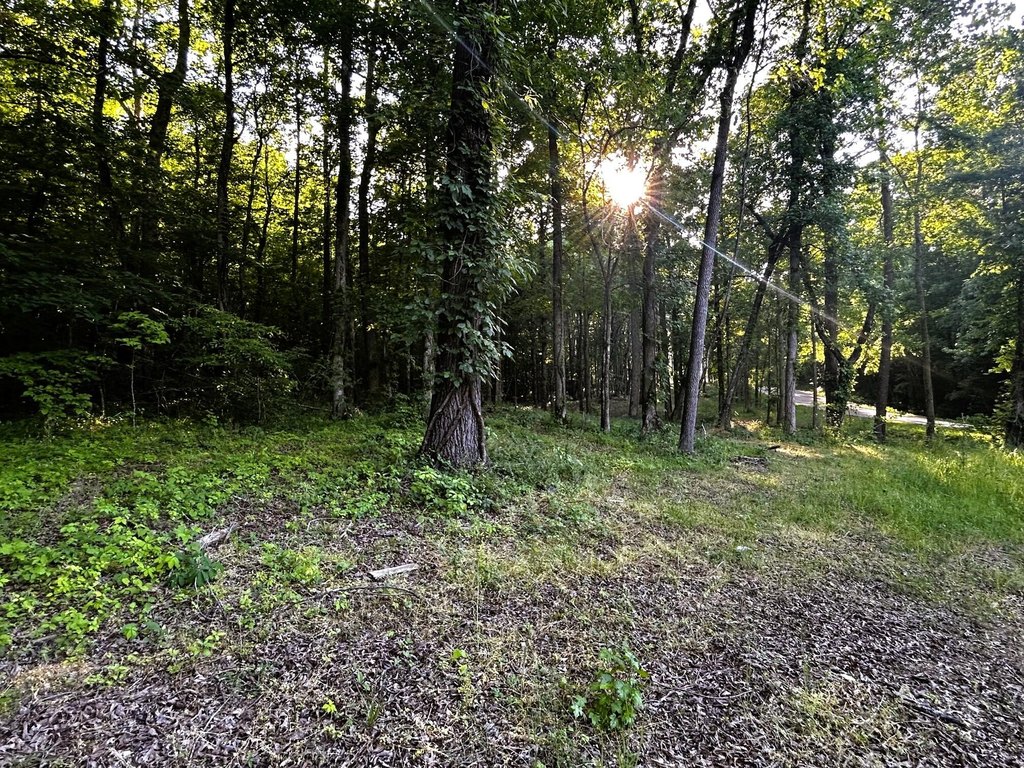 Picture 17