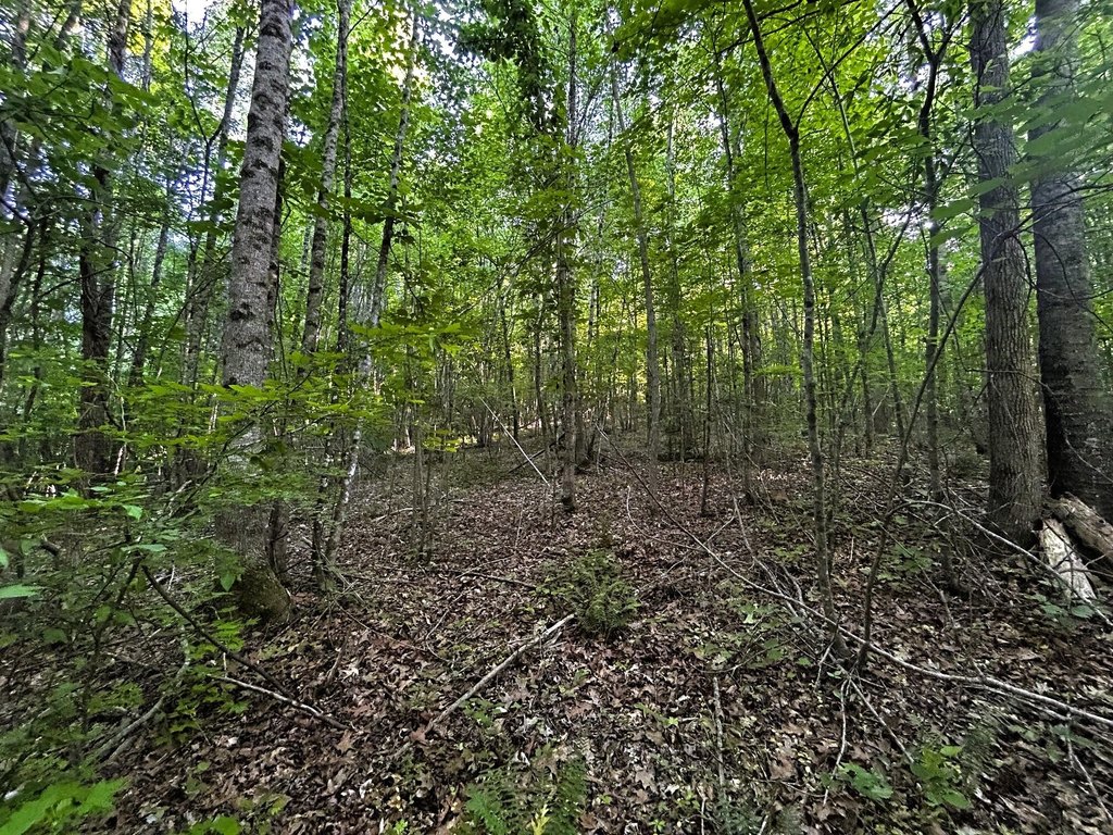 Picture 22
