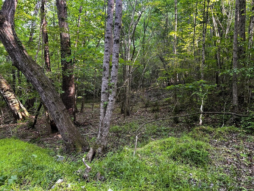 Picture 21