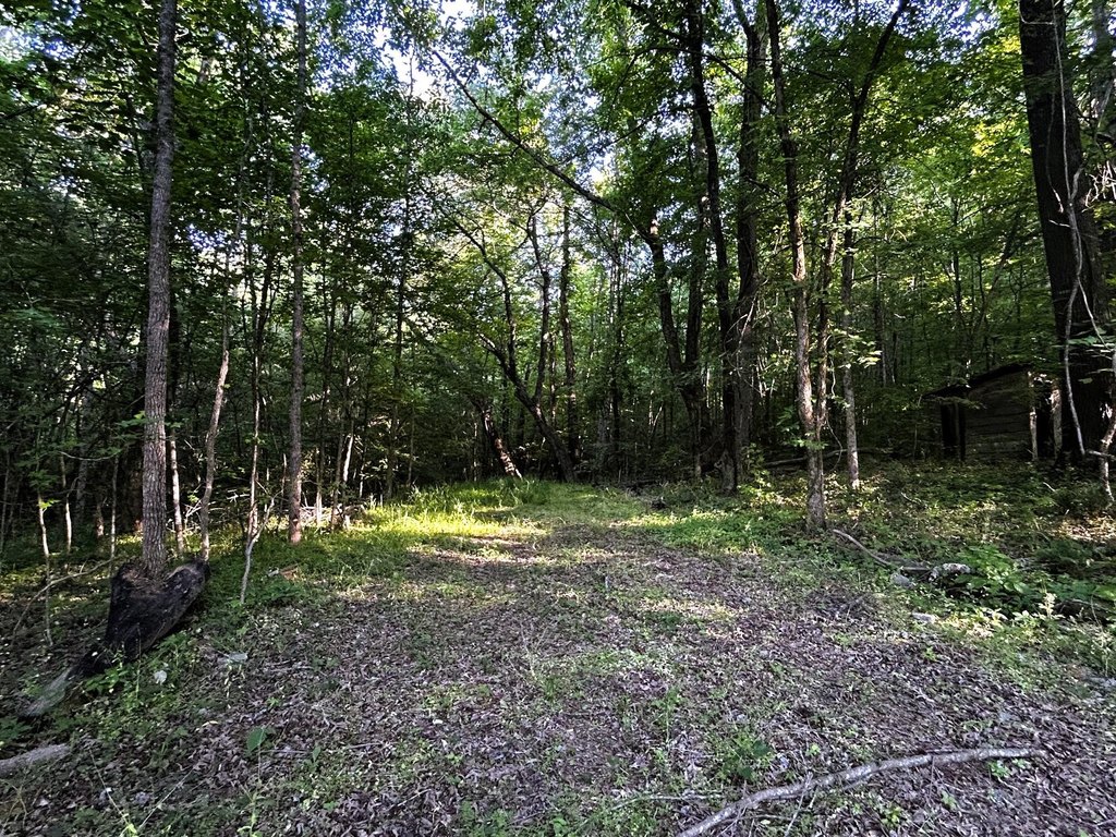 Picture 15