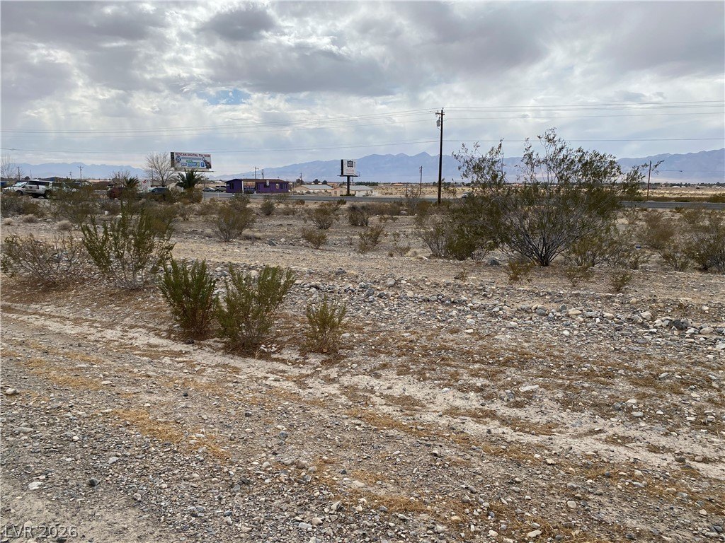 Picture 15