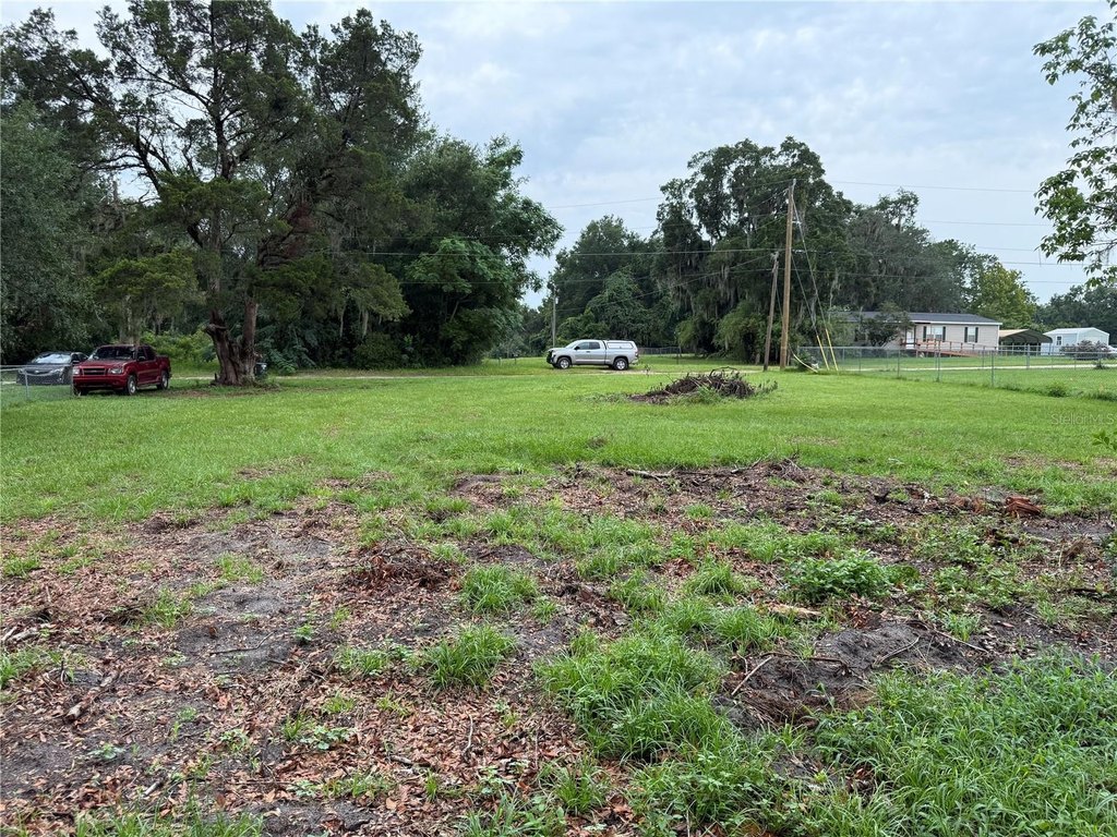 Picture 5