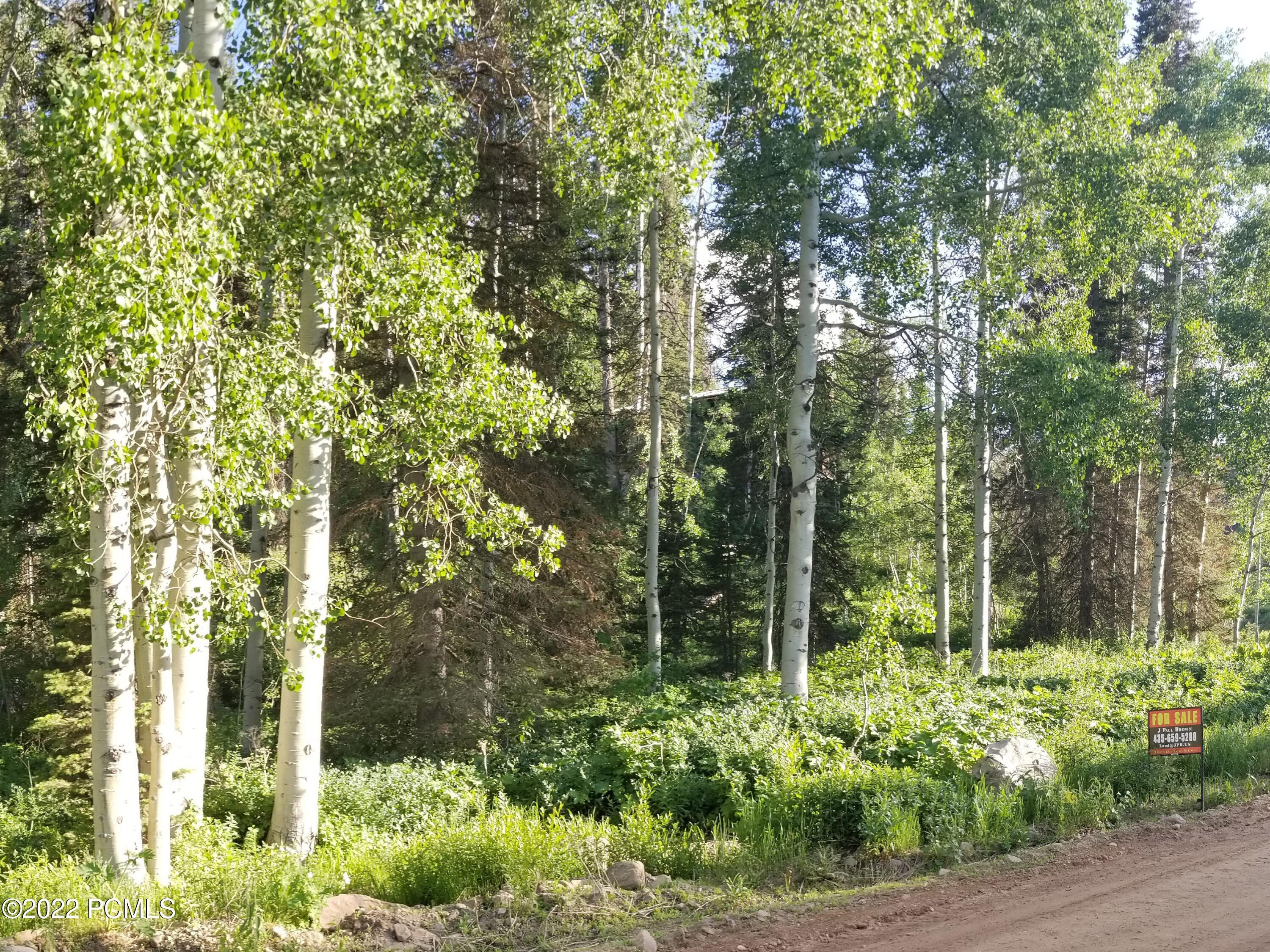 Mountain Oasis Nature Preserve Land