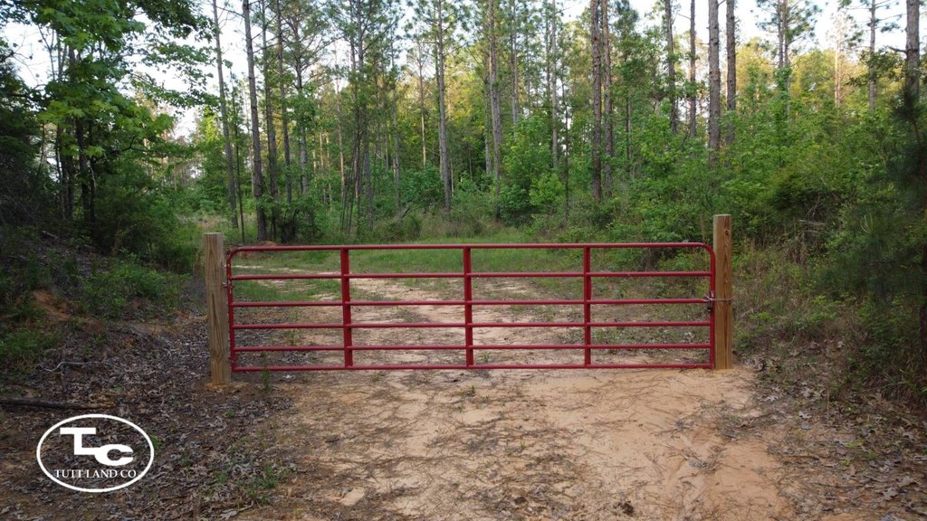Picture 4