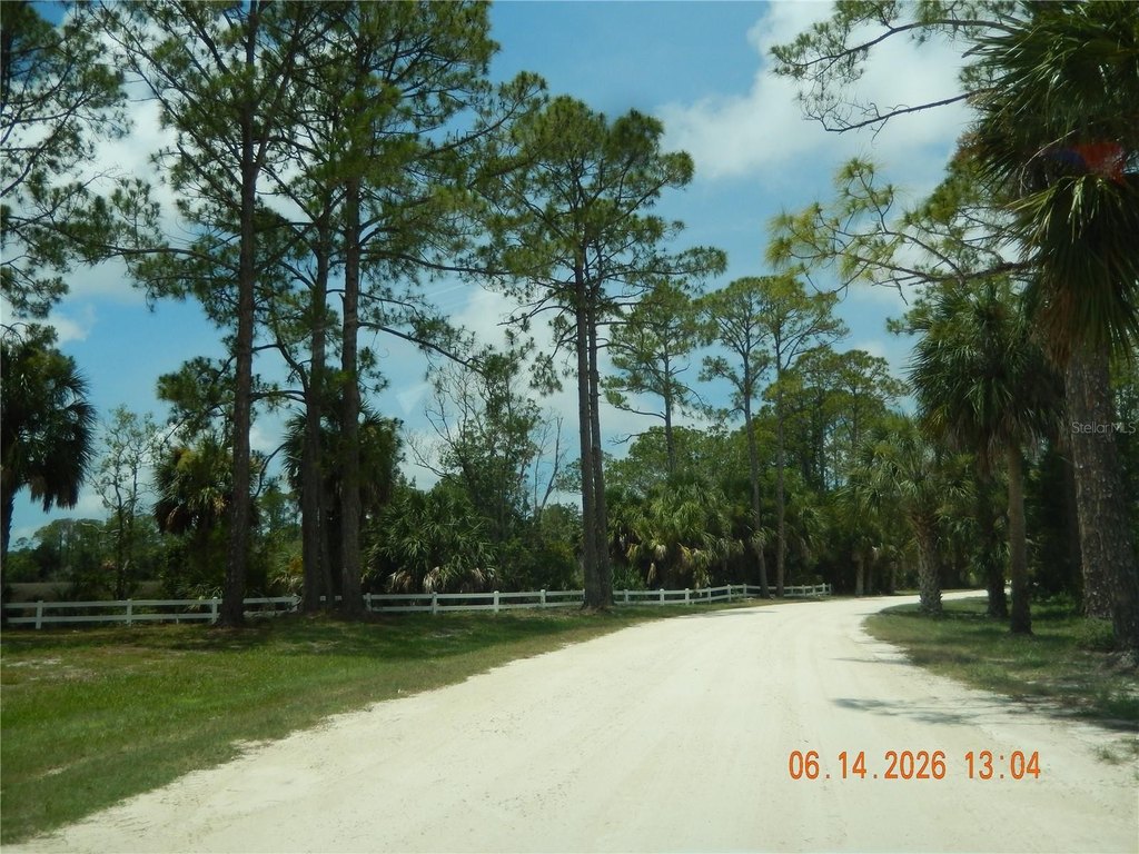Picture 6