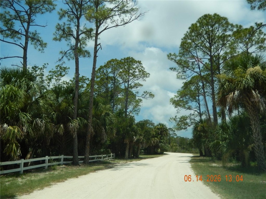 Picture 8