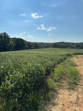 Creekfront Agricultural Land