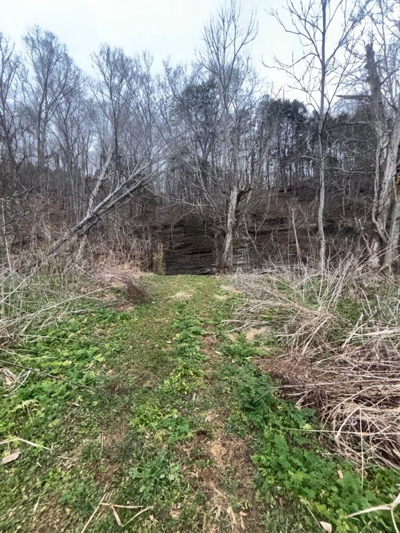 Picture 15