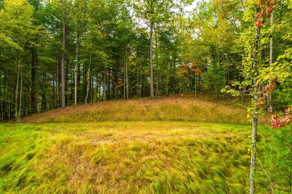 Bryson City Land with Views