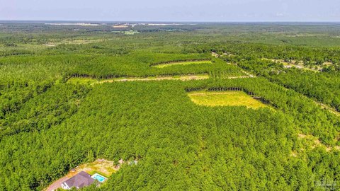 LAND - Milton, FL