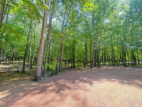 Land, Rhinelander, WI