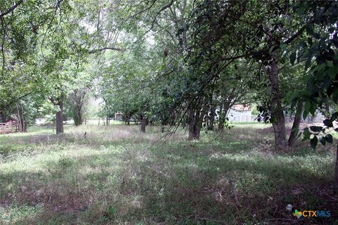 Undeveloped Lot in Lockhart, TX