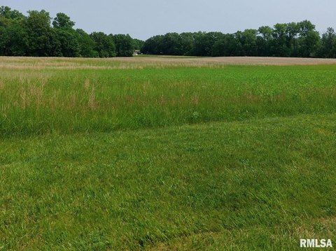 LAND - Mt Vernon, IL