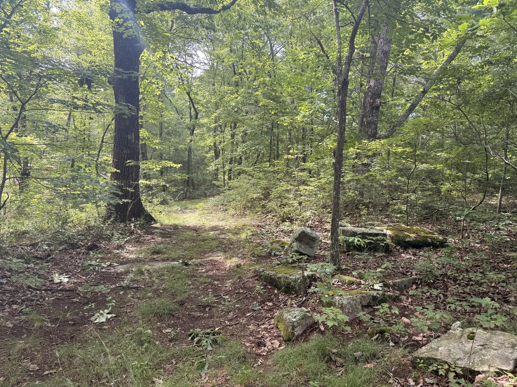 Picture 19