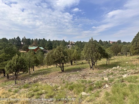 Buildable Lot in Alto, NM