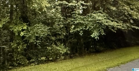 Level Lot with Mature Trees