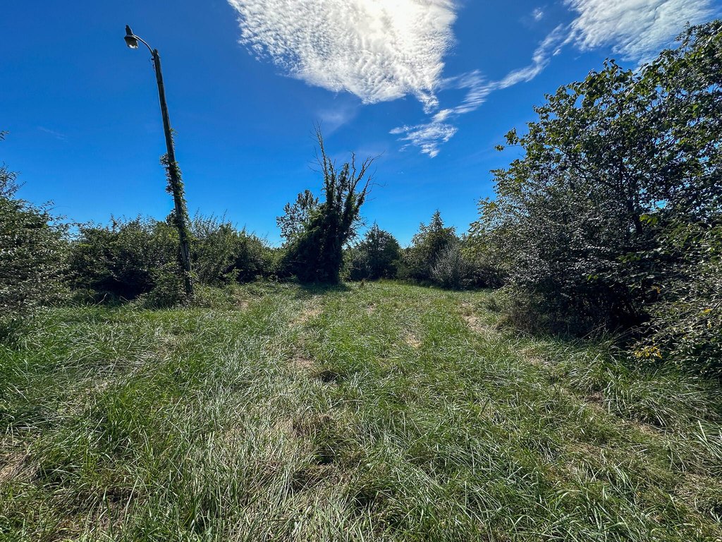 Picture 21