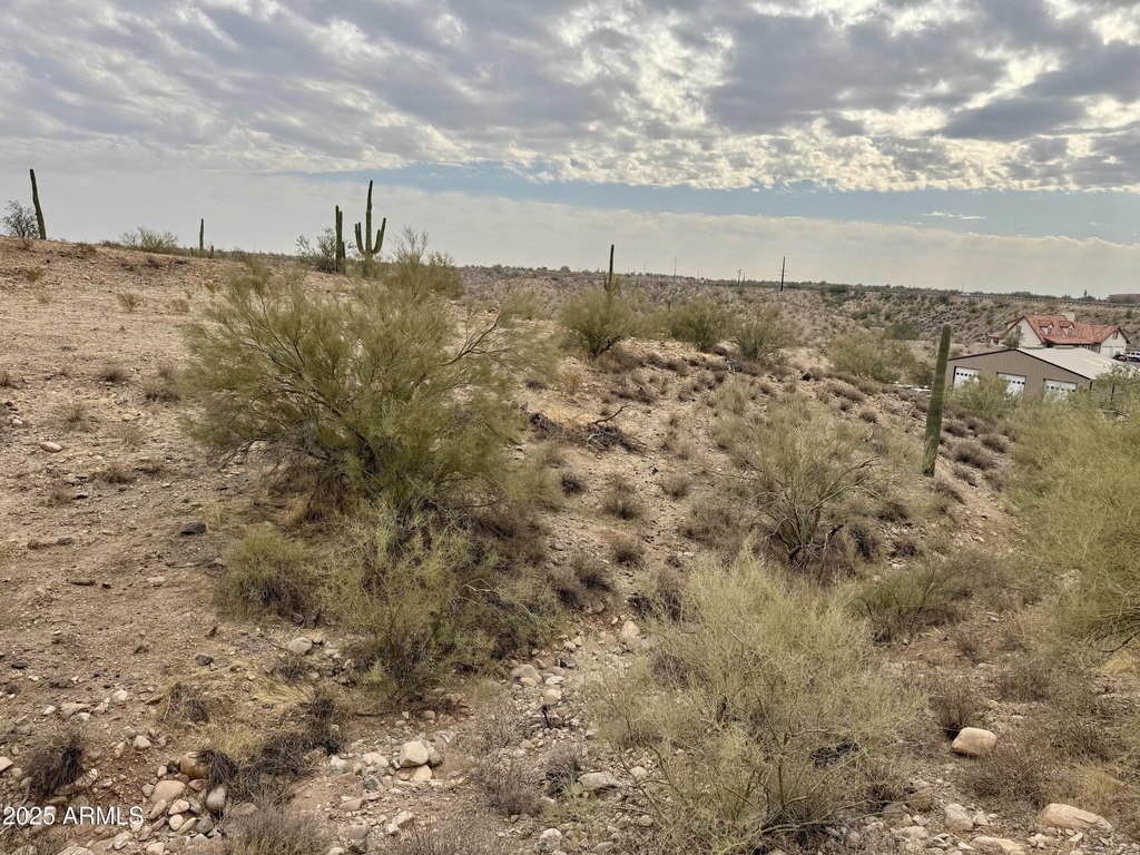 Picture 11