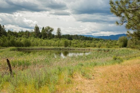 LAND - Springdale, WA