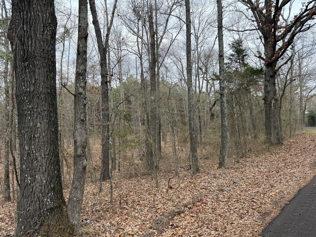 Picture 14