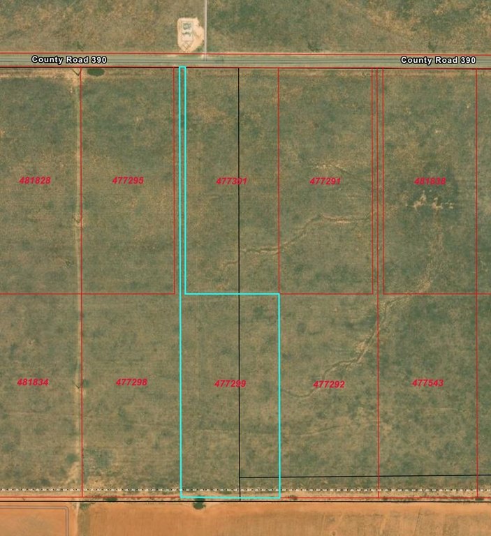 Picture 3