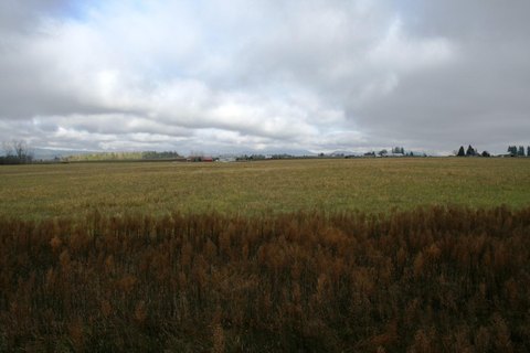 9.99 Acres with Stunning Views